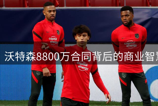 沃特森8800万合同背后的商业智慧