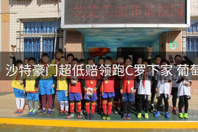 沙特豪门超低赔领跑C罗下家 葡萄牙球王下站已定?