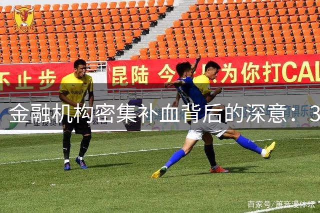 金融机构密集补血背后的深意：3000亿输血防范什么？