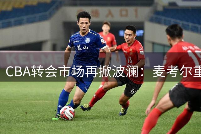 CBA转会市场再掀波澜：麦考尔重返广州，广东队面临全新考验